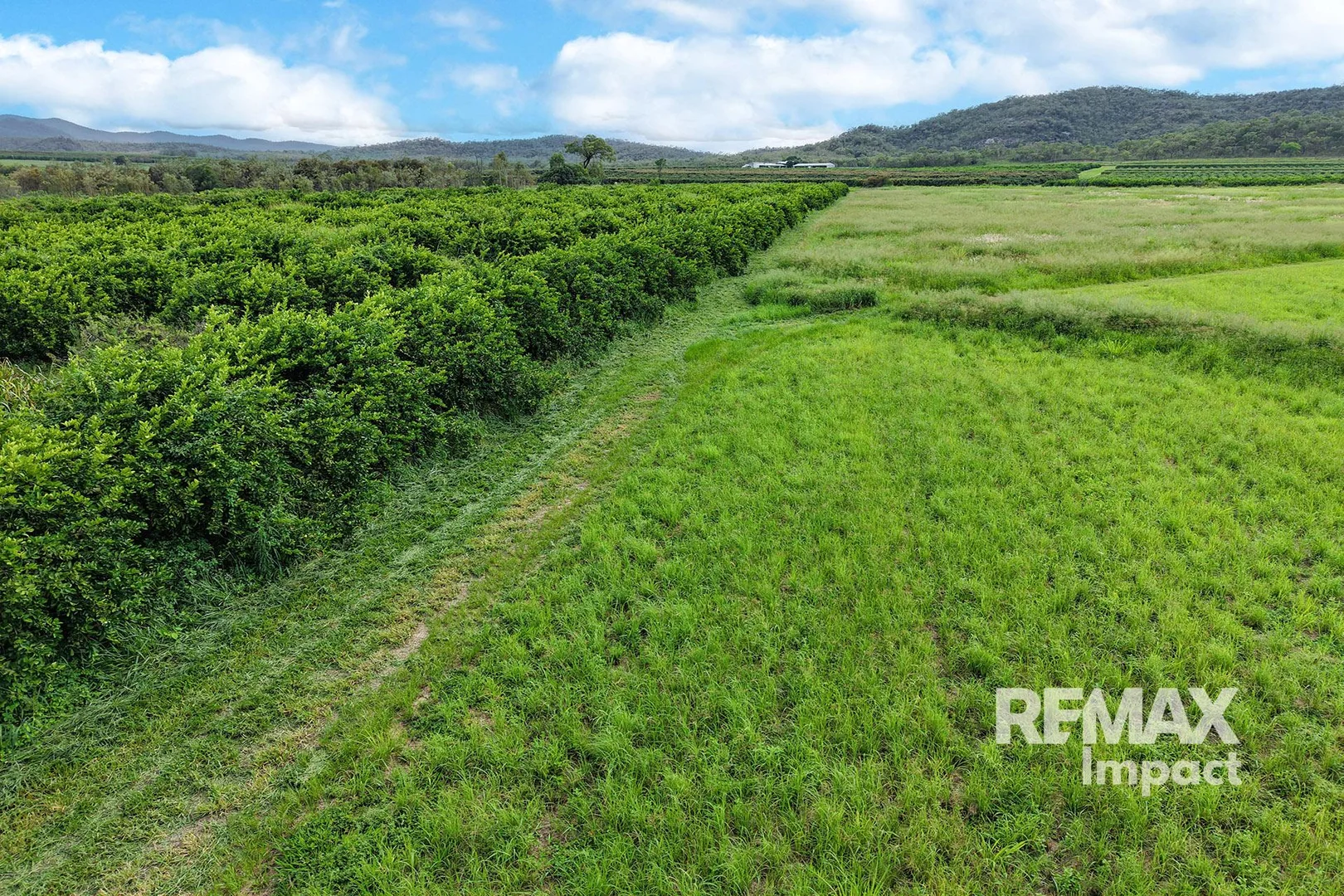 Additional image 12 of 523 Mutchilba Road,, Mutchilba QLD 4872