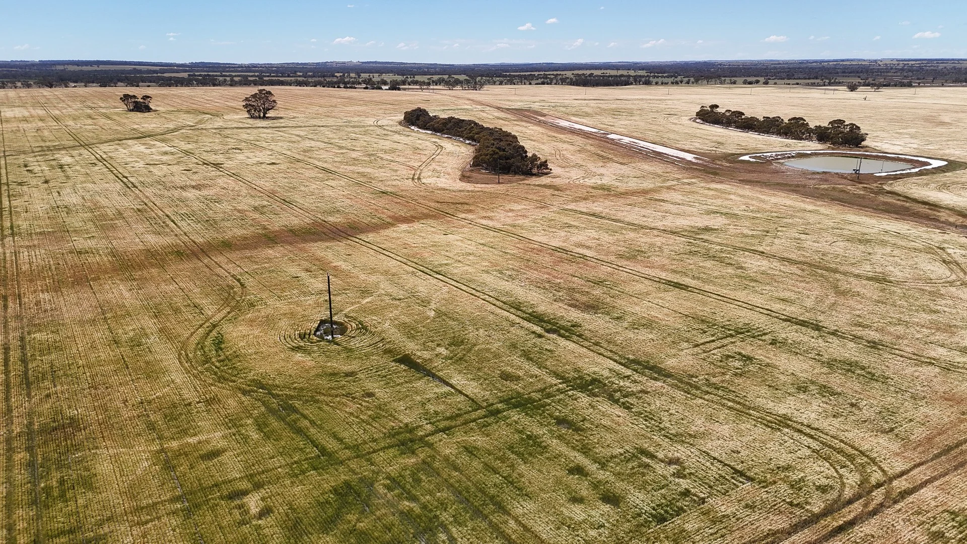 Kolonga Downs 175 McAuliffe Road, Katanning WA 6317