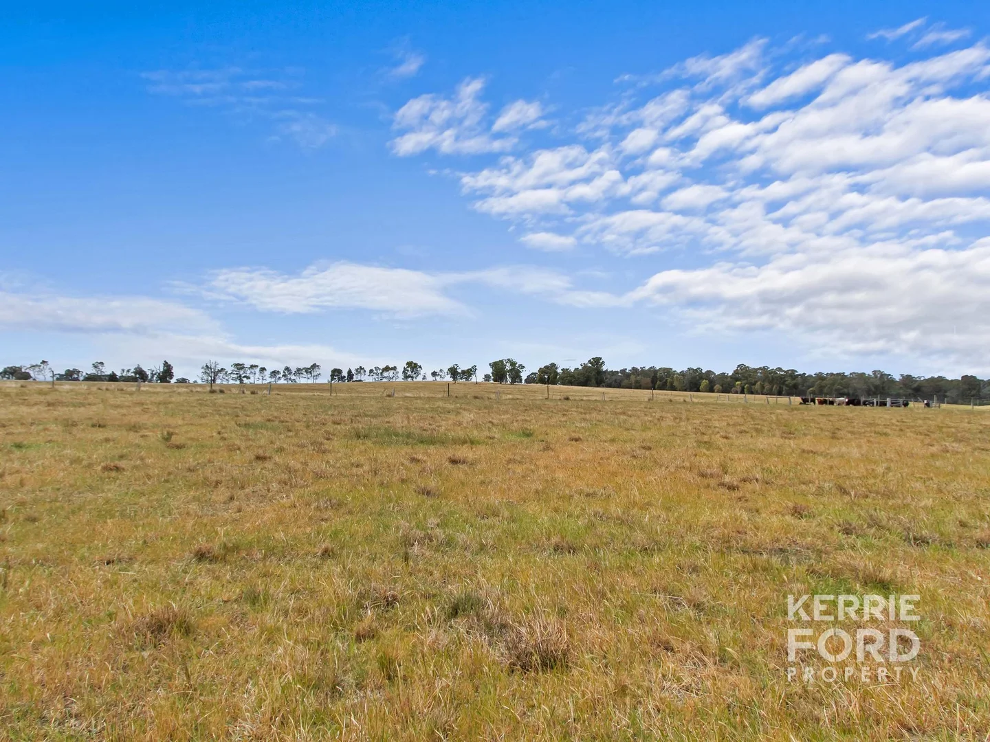Additional image 17 of Lot 2/810 Tinamba Seaton Road, Tinamba VIC 3859