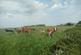 Additional image 3 of Church Lane, Winmarleigh PR3