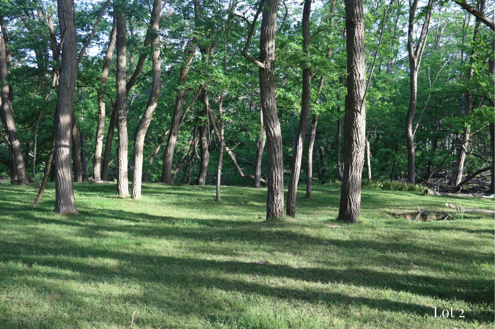 Additional image 16 of Lot 2/1387 Putty Valley Road, Putty NSW 2330