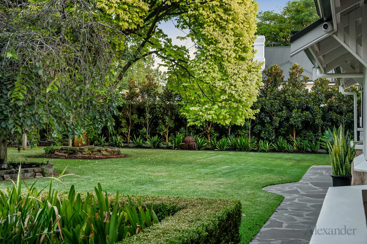 Additional image 39 of 20 Jellicoe Avenue, Kings Park SA 5034