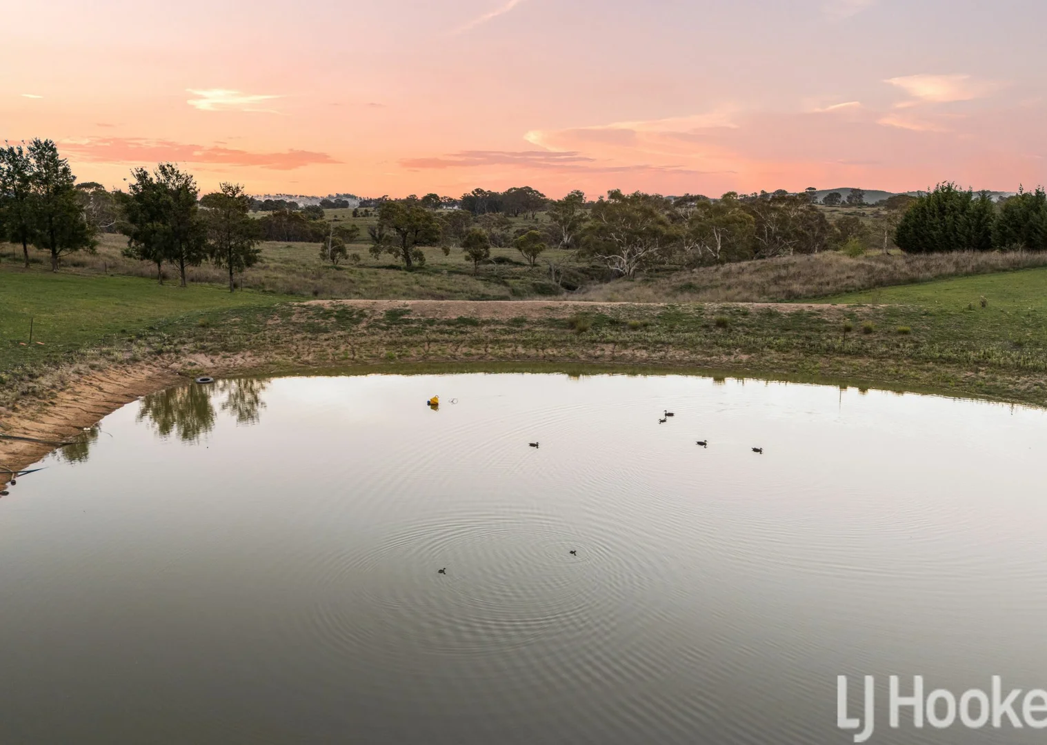 Additional image 4 of 59 Marion Close, Wimbledon NSW 2795