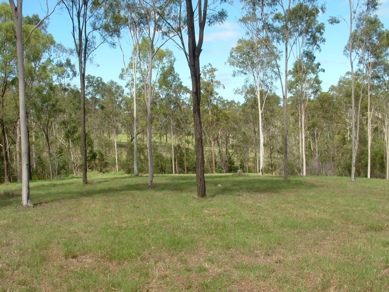 Additional image 31 of 209 Mcintyres Road, Damascus QLD 4671