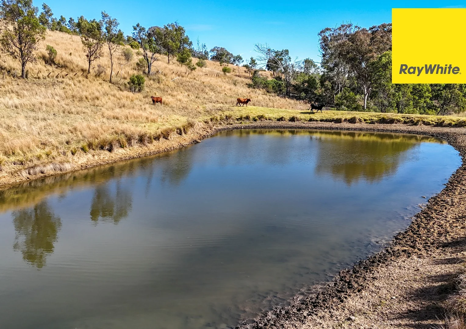 Additional image 12 of 406 Dry Creek Road, Inverell NSW 2360