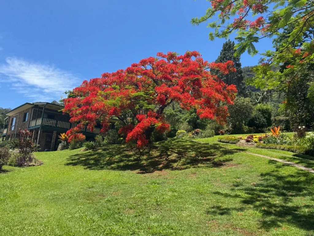 Additional image 5 of 197 Palmwoods Road, Palmwoods NSW 2482