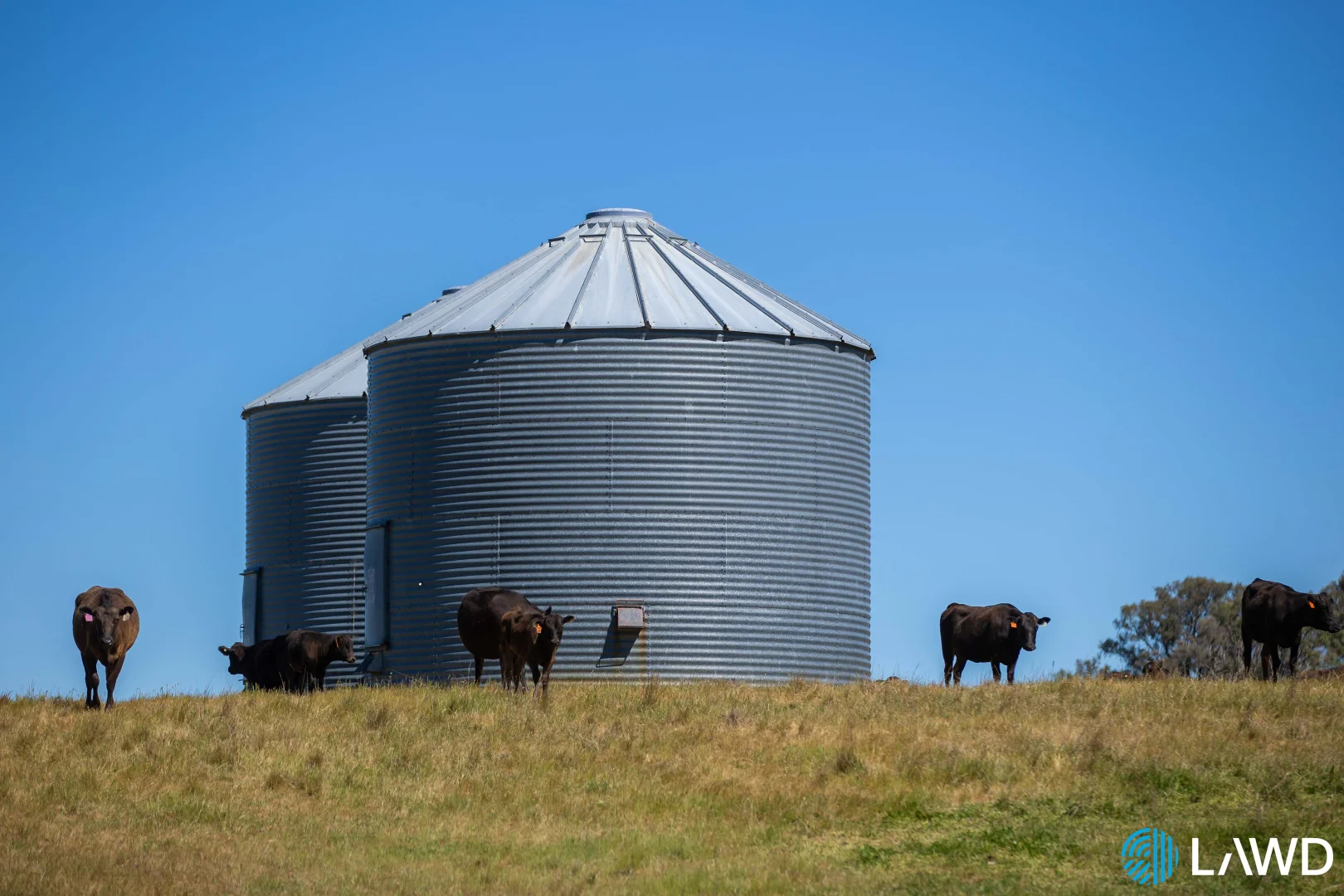 Additional image 12 of Abington NSW 2350