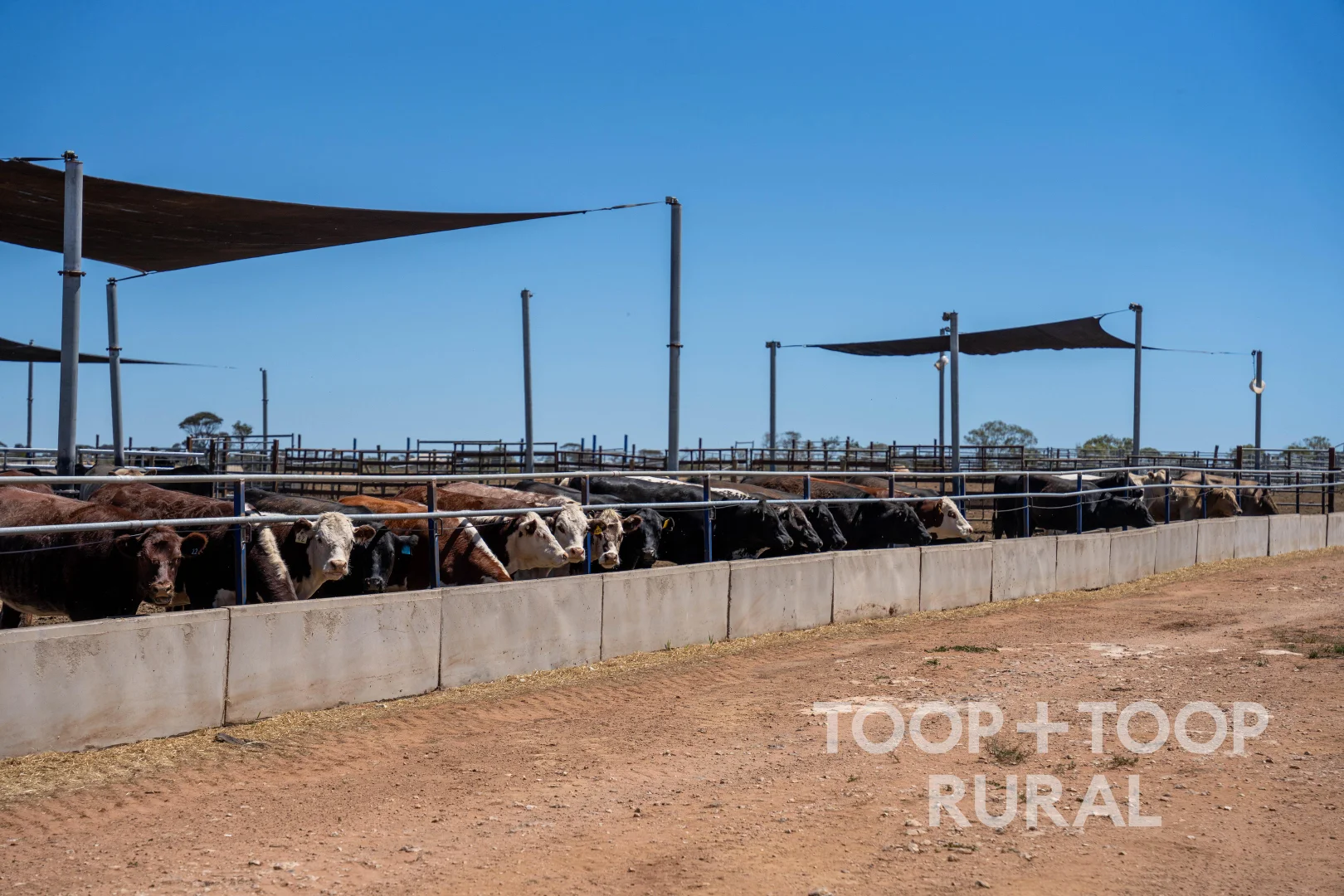 Additional image 3 of 106 Hunter Road, Nildottie SA 5238