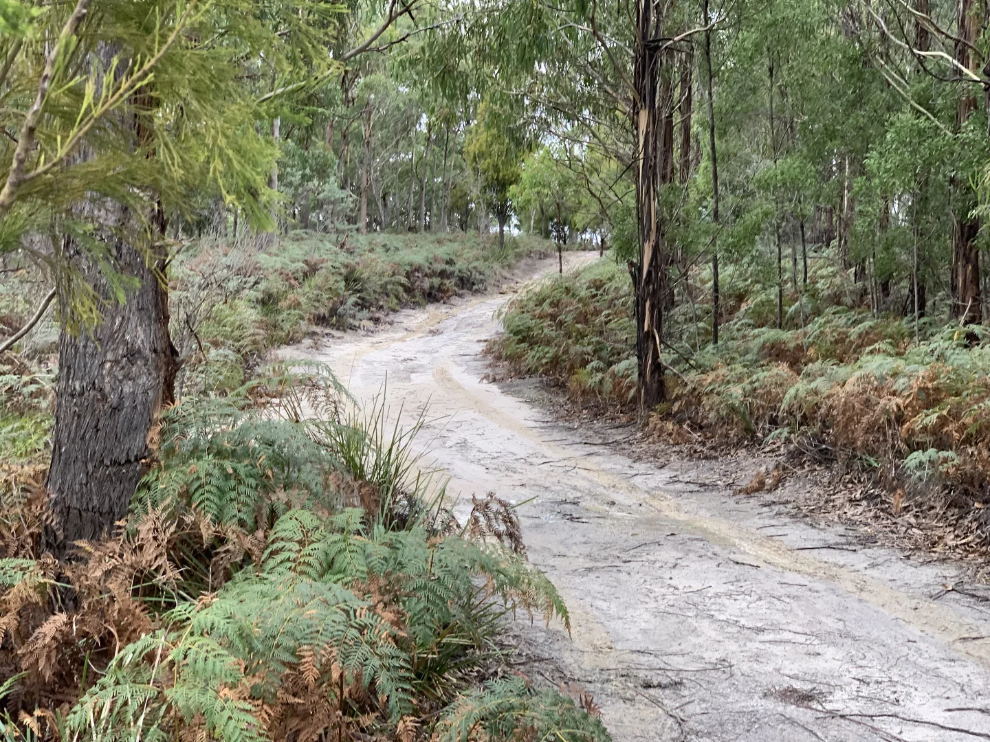 Additional image 7 of Lot 1 off Dam Road, Saltwater River TAS 7186