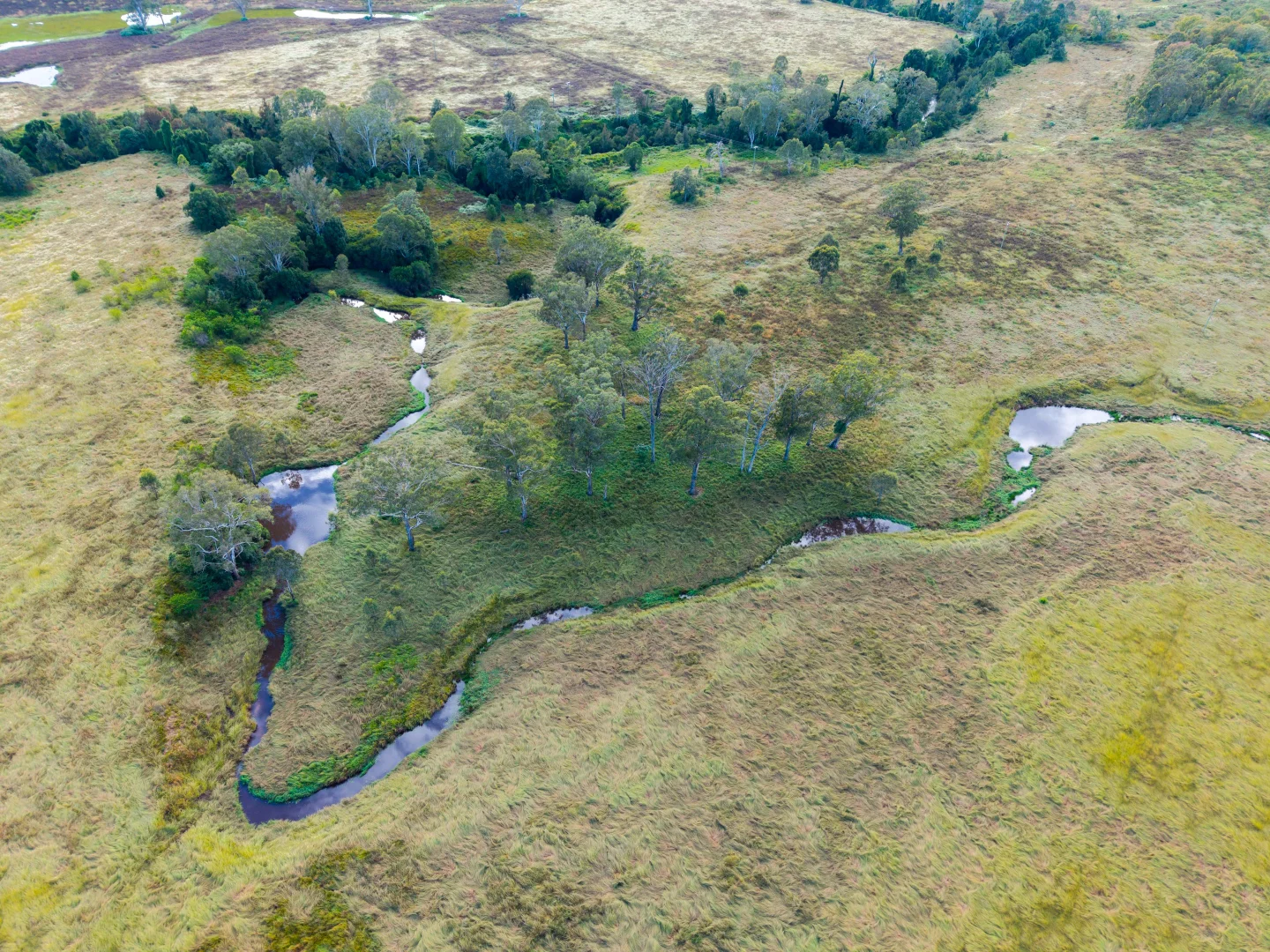 Additional image 18 of 3695 Beaudesert Nerang Road, Tabragalba QLD 4285