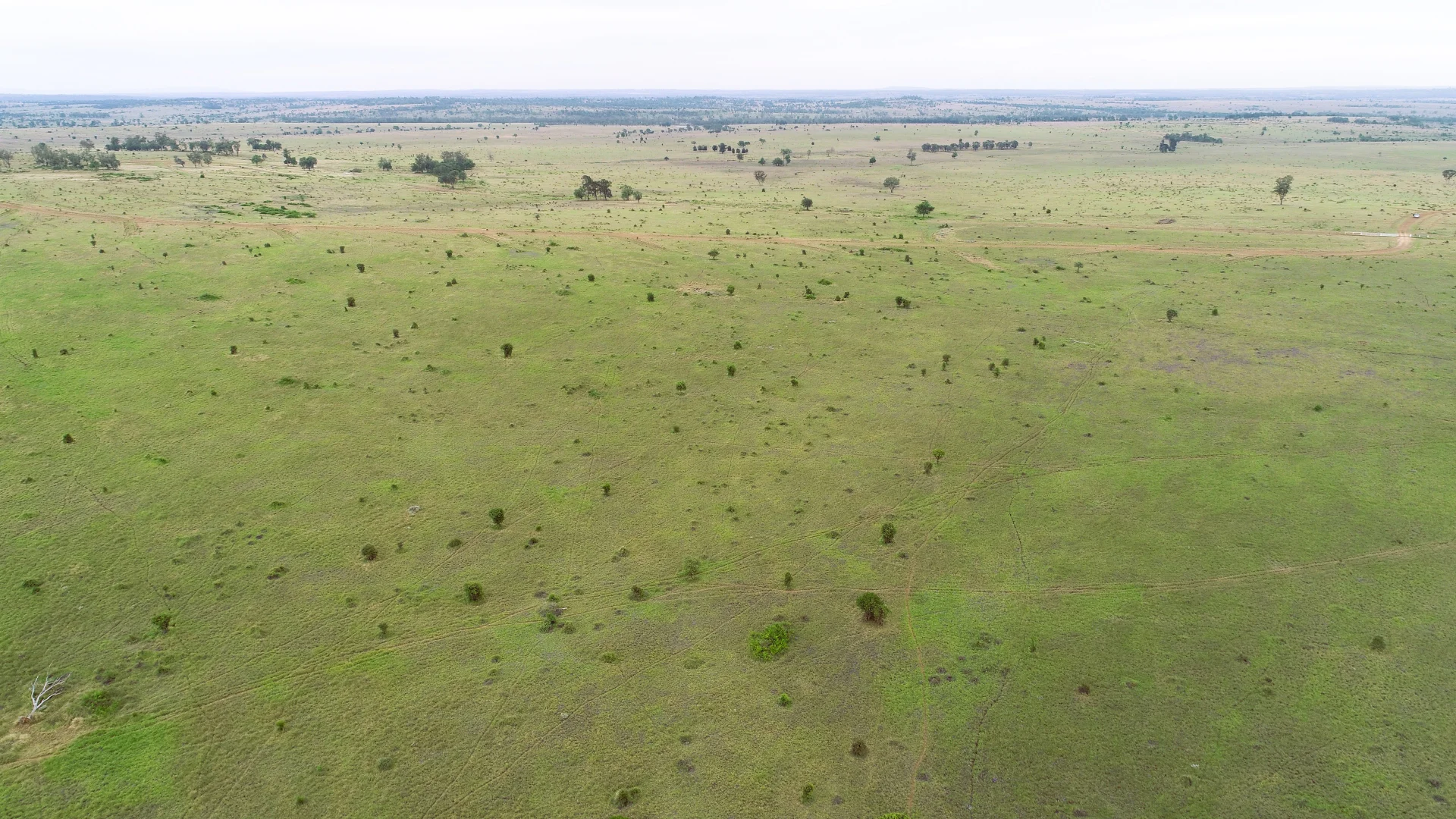 Additional image 3 of 'Bracco' Orallo Road, Roma QLD 4455