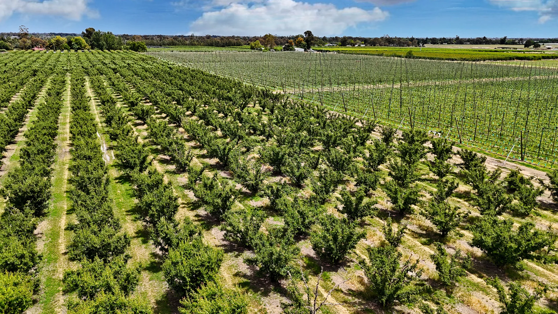 Additional image 12 of Orrvale VIC 3631