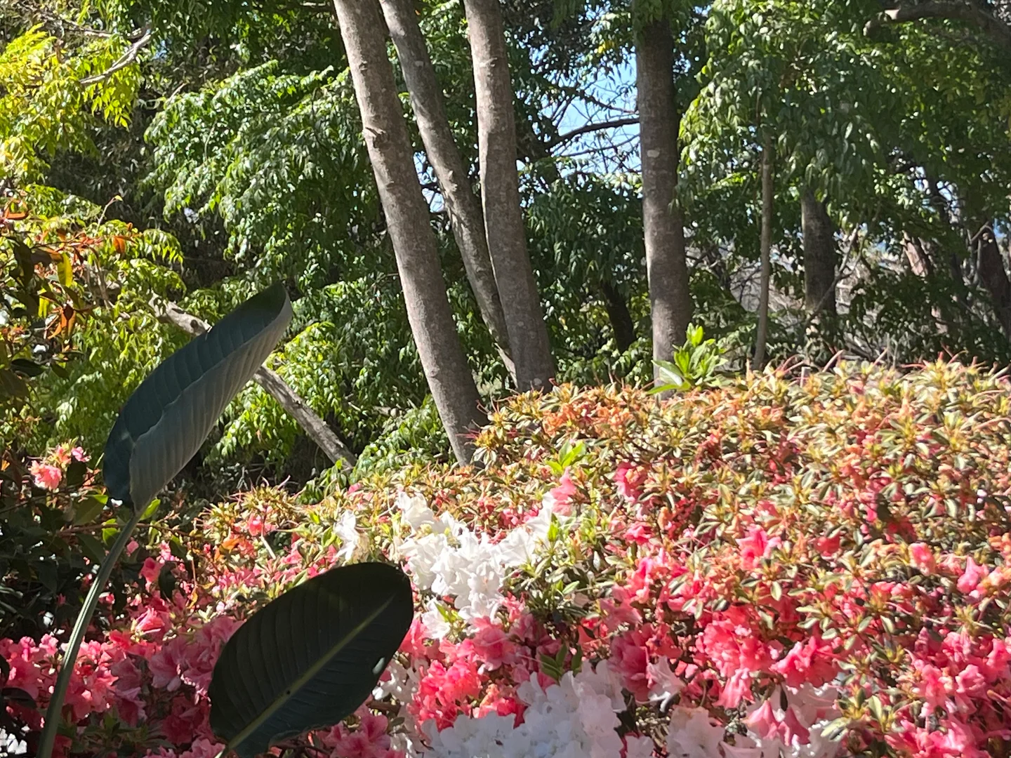 Additional image 6 of 82 Old Tathra Road, Berrambool NSW 2548