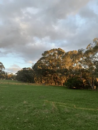 Additional image 7 of 44 Thompson Road, Gherang VIC 3240