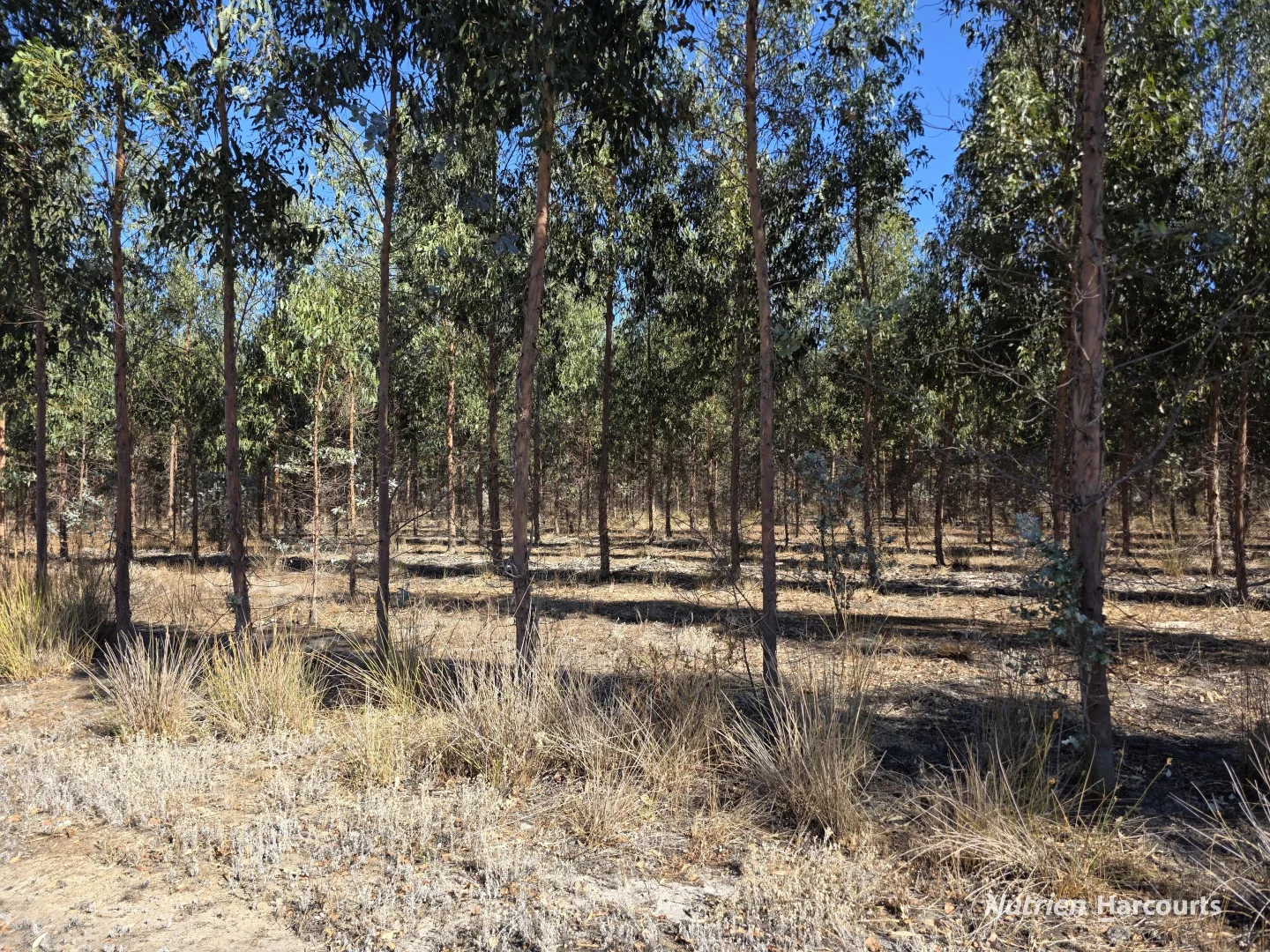 Additional image 5 of 1578 Yellanup Road, Narrikup WA 6326