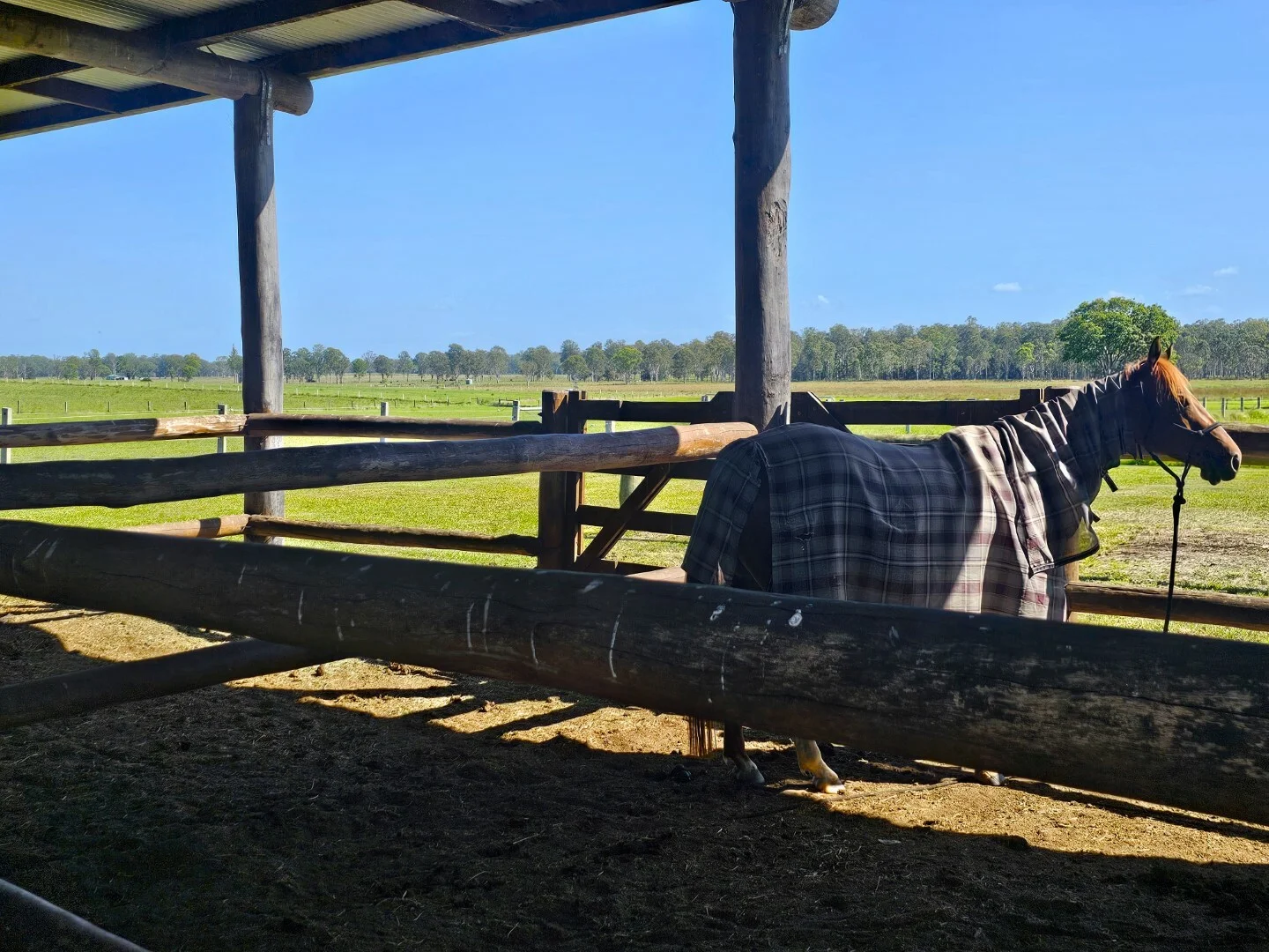 Additional image 30 of 487 Fogwells Rd, Yorklea NSW 2470