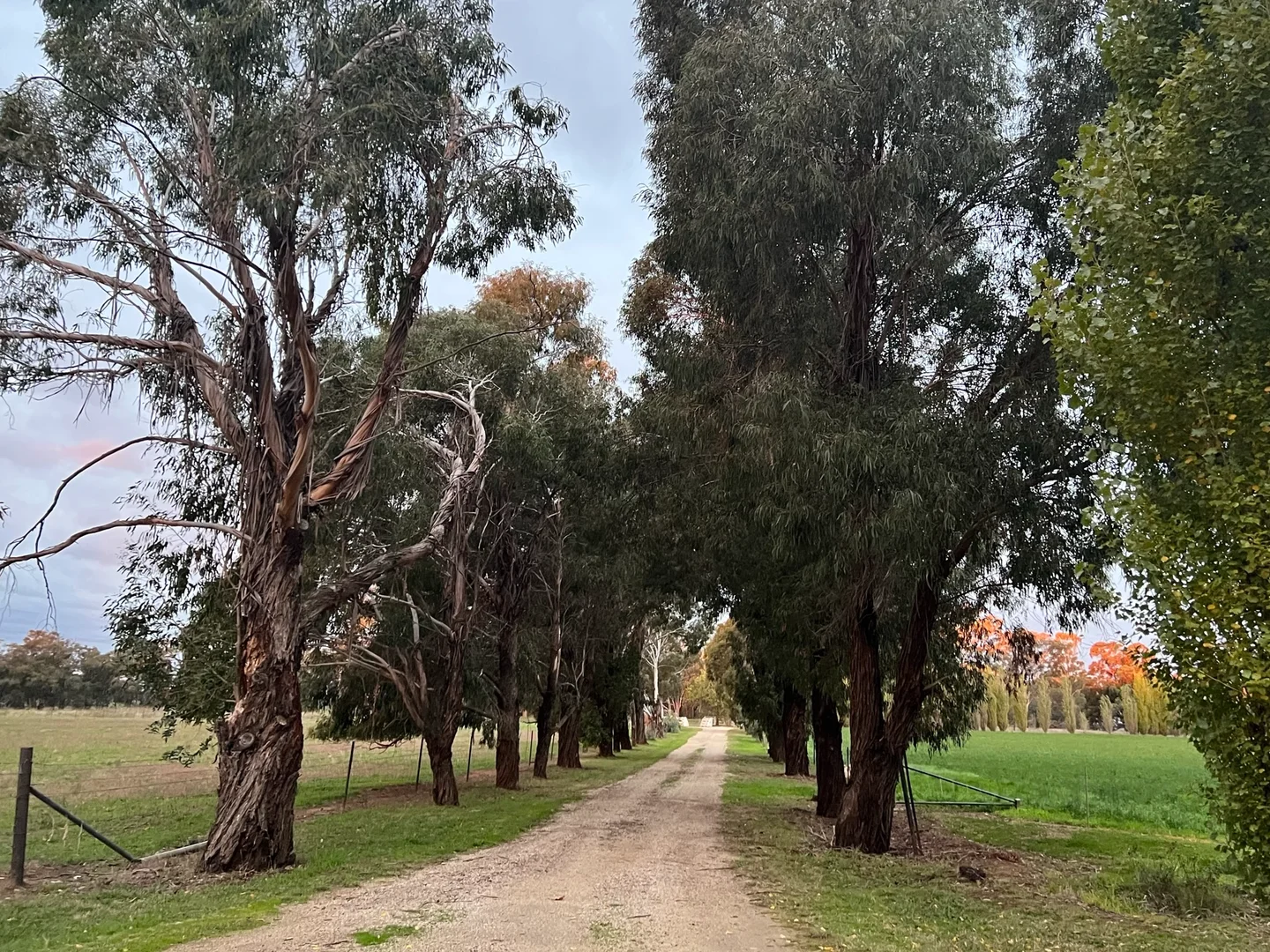 Additional image 17 of Gooloogong NSW 2805