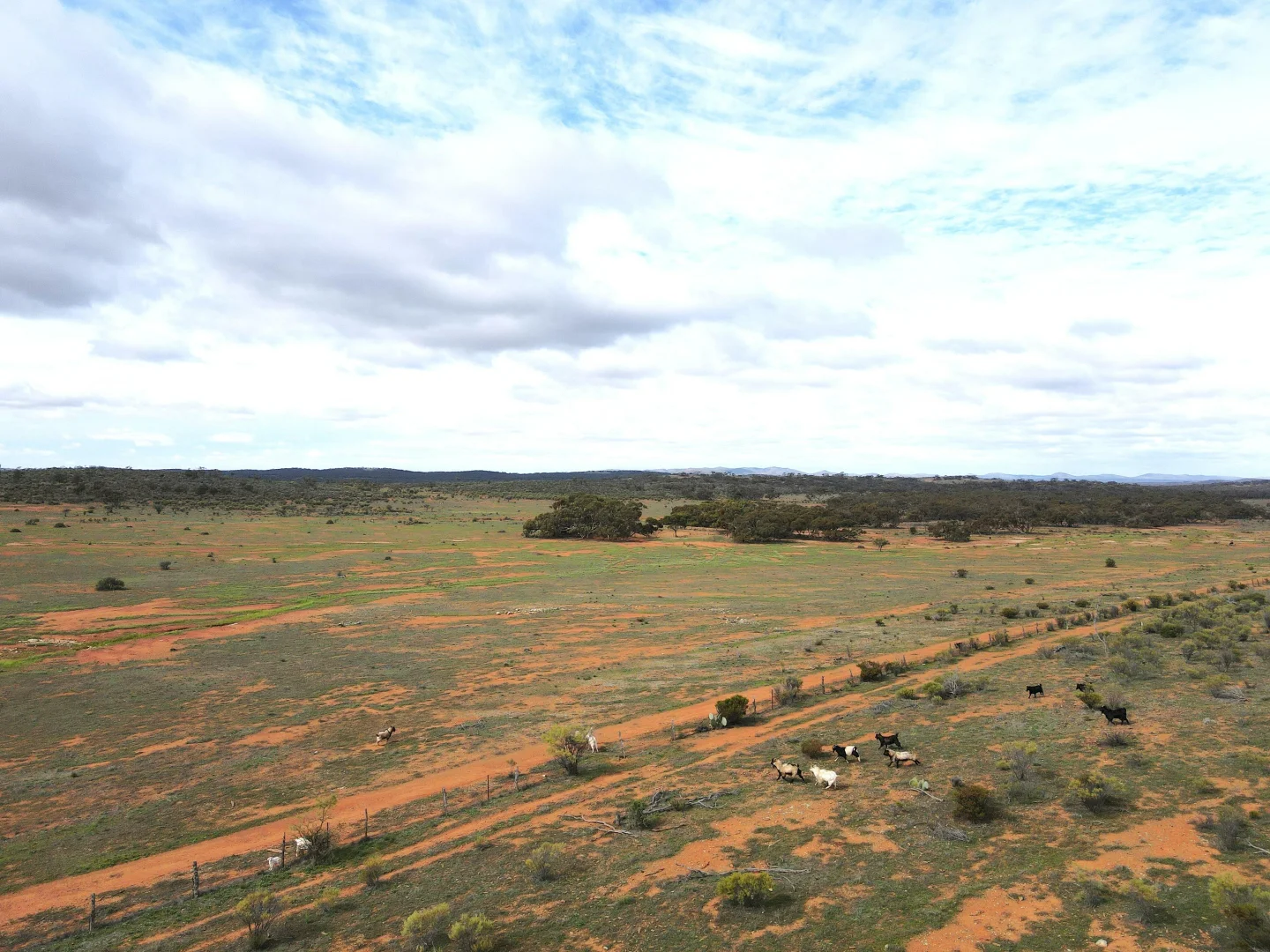 Additional image 10 of "Peechara Hills East Barrier Hwy, Nackara SA 5440