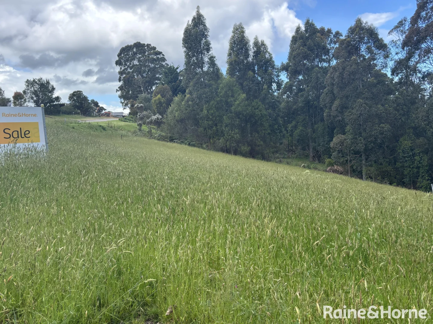 2 Wishart Place, Denmark WA 6333