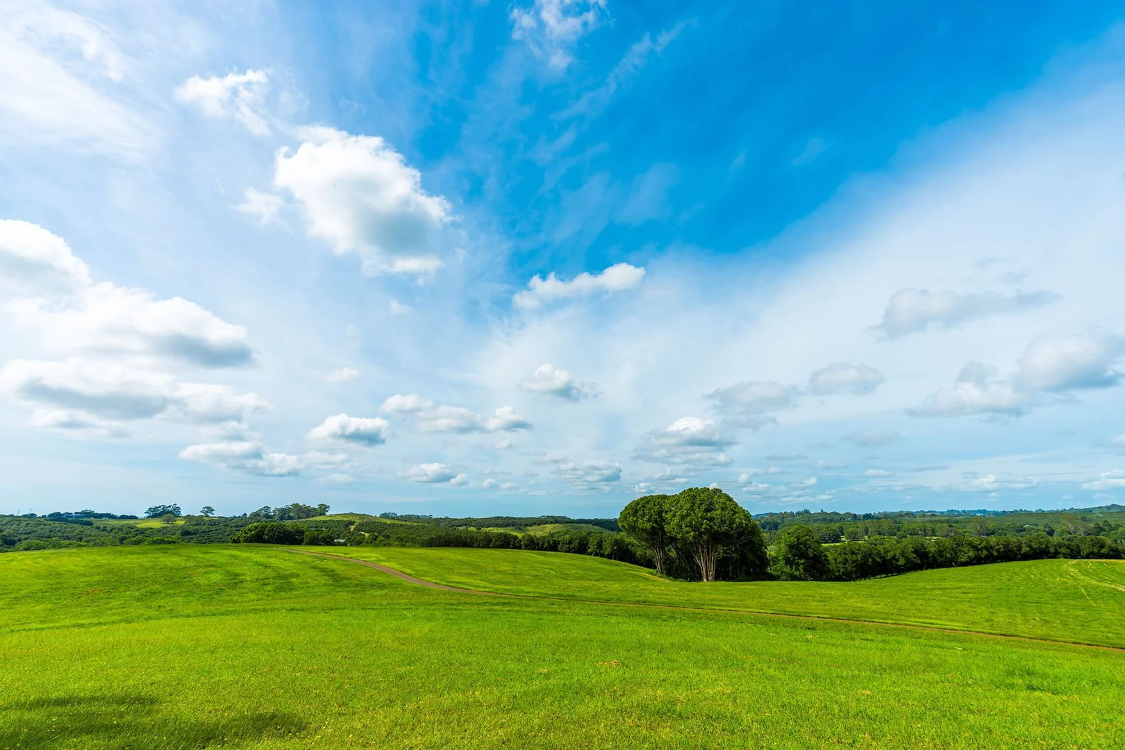 Additional image 14 of 323 Alcorn Road, Knockrow NSW 2479