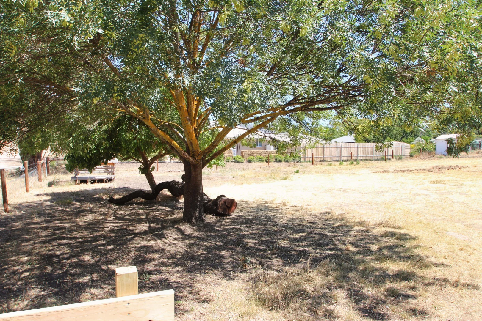 Additional image 4 of 26 West Road, Watervale SA 5452