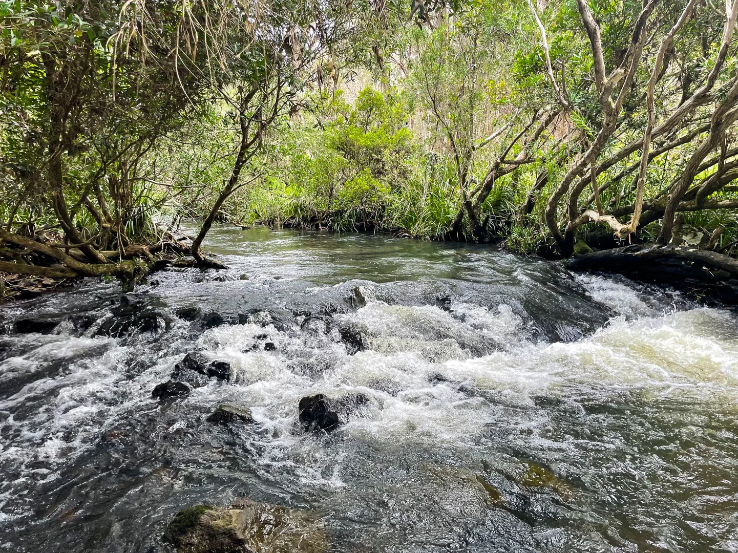 Additional image 3 of 196 Greys Lane, Ravenshoe QLD 4888