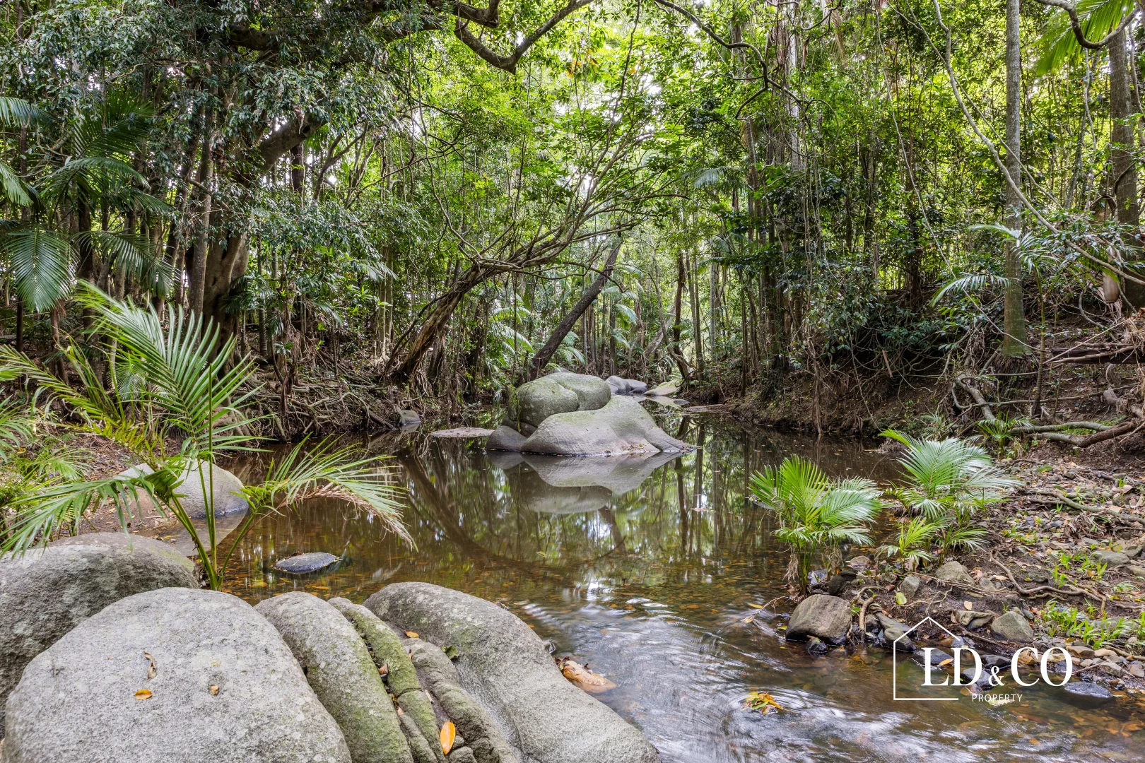 Additional image 14 of 254 Mapalo Road, The Leap QLD 4740