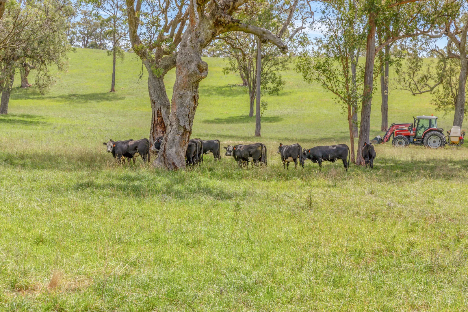 Additional image 19 of Lot 52 Glen Chee Road, Kanimbla NSW 2790