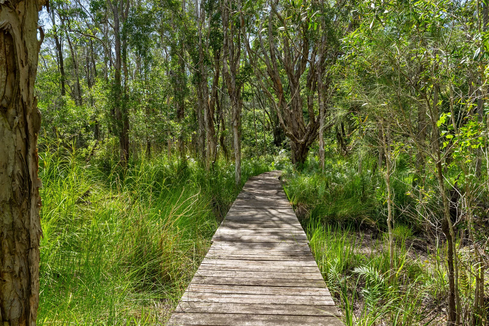 Additional image 23 of 100 Redgate Road, South Golden Beach NSW 2483