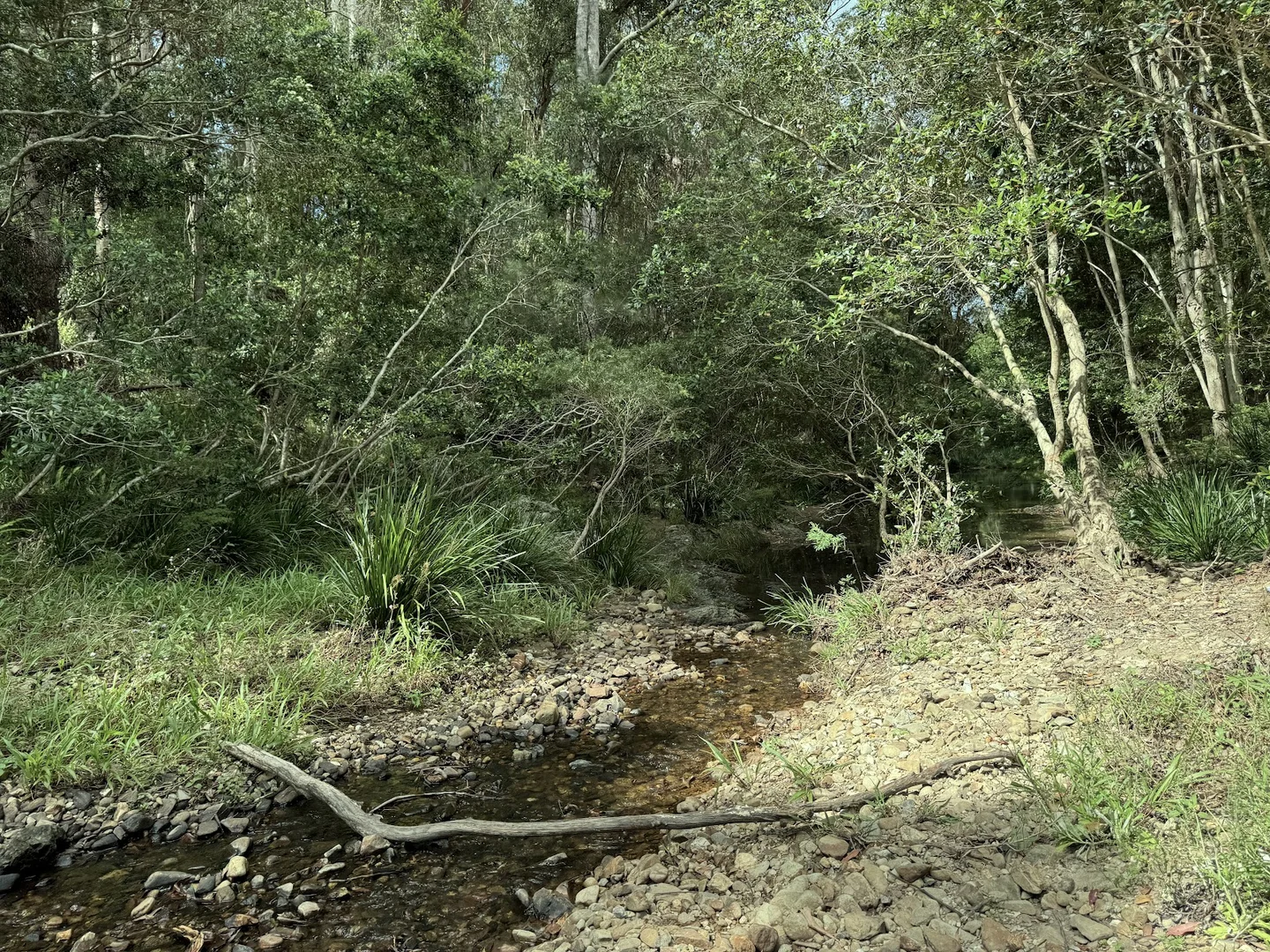 Additional image 32 of 5 Tanby Court, Mudgeeraba QLD 4213