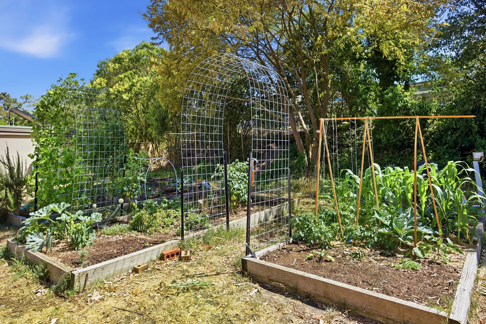 Additional image 14 of 33 White Close, Lilydale VIC 3140