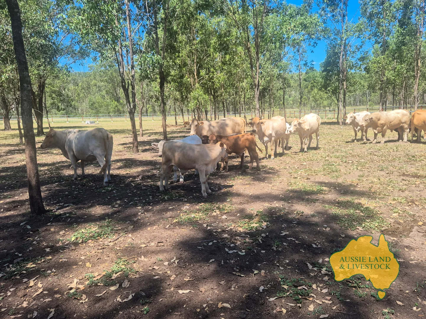 Additional image 58 of 43 & 50, . Kalliwa Road, Mingo QLD 4625