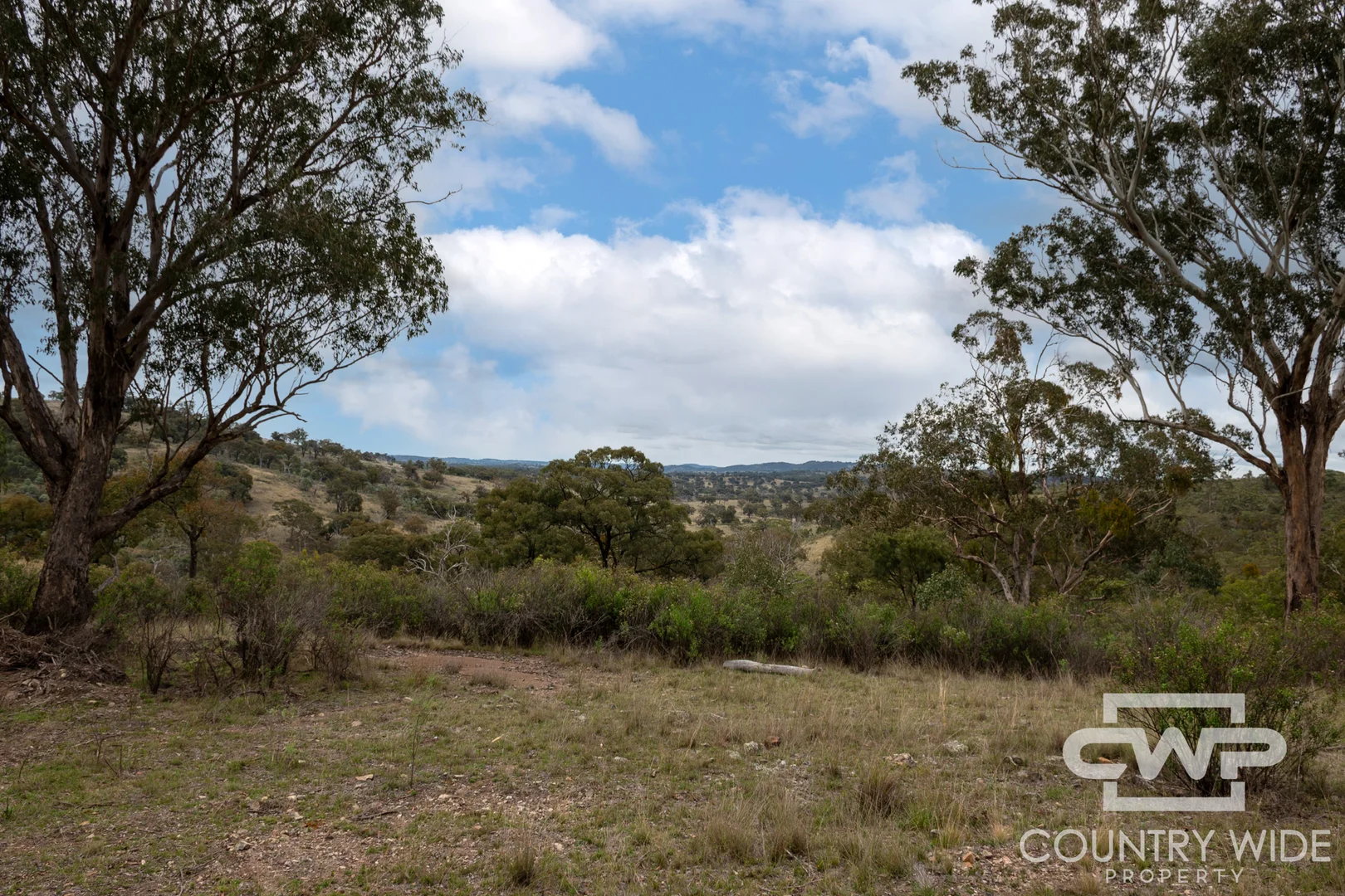 Additional image 6 of 137, 4108 Tent Hill Road, Emmaville NSW 2371