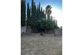 Additional image 19 of 1460 Portsmouth Ln, Gustine, CA, 95322