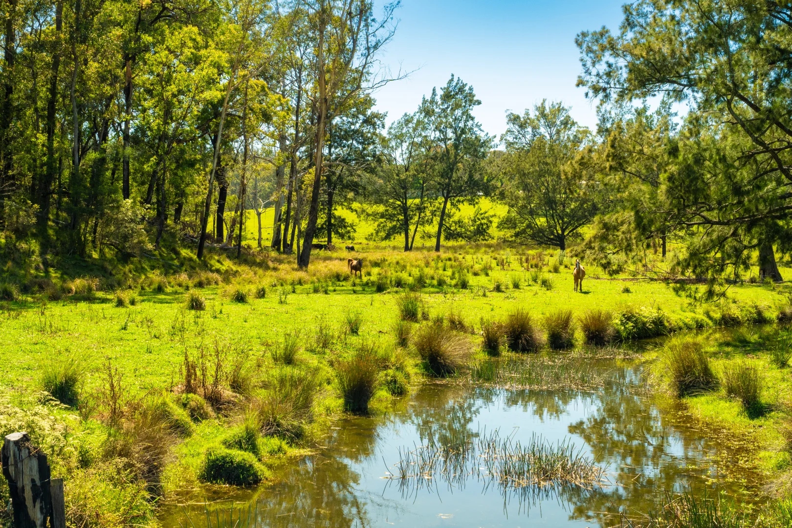 Additional image 23 of 18 Waincourt Road, Eurobodalla NSW 2545