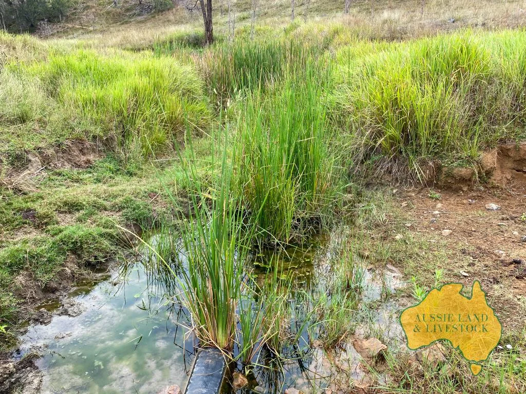 Additional image 4 of 8-9, . "O'Keefes & Tracey's", Monto Mount Perry Road, Mungy, Mungy QLD 4671