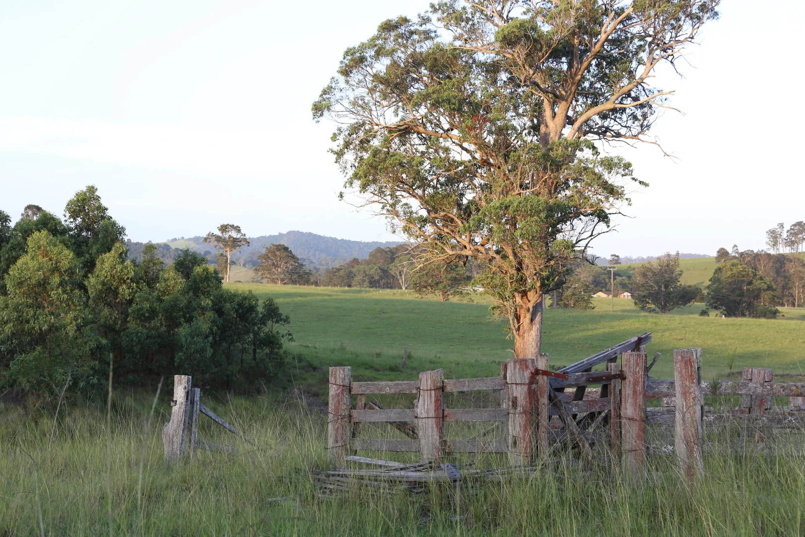 Additional image 5 of 212A Norries Road, Bunyah NSW 2429