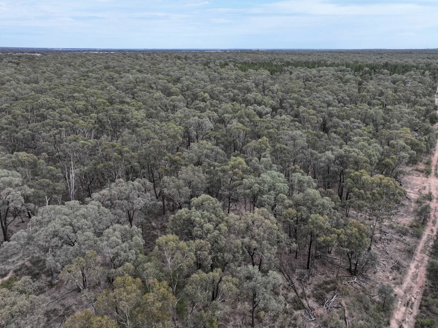 Additional image 14 of 'The Backwoods' 1054 Burley Griffin Way, Temora NSW 2666