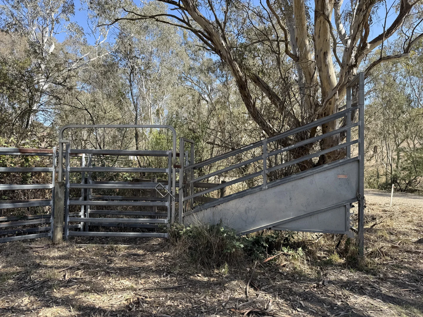 Additional image 8 of 85 Halls Flat Road, Alexandra VIC 3714