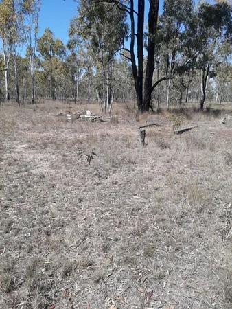 Additional image 3 of #122 Kofoeds Road, Tara QLD 4421