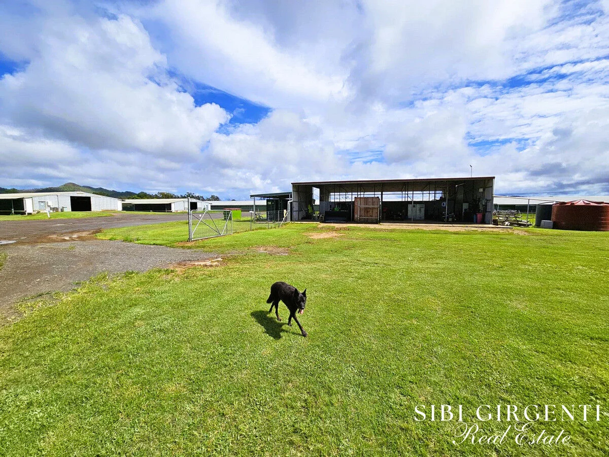 Additional image 13 of 1004 Bilwon Road, Biboohra QLD 4880