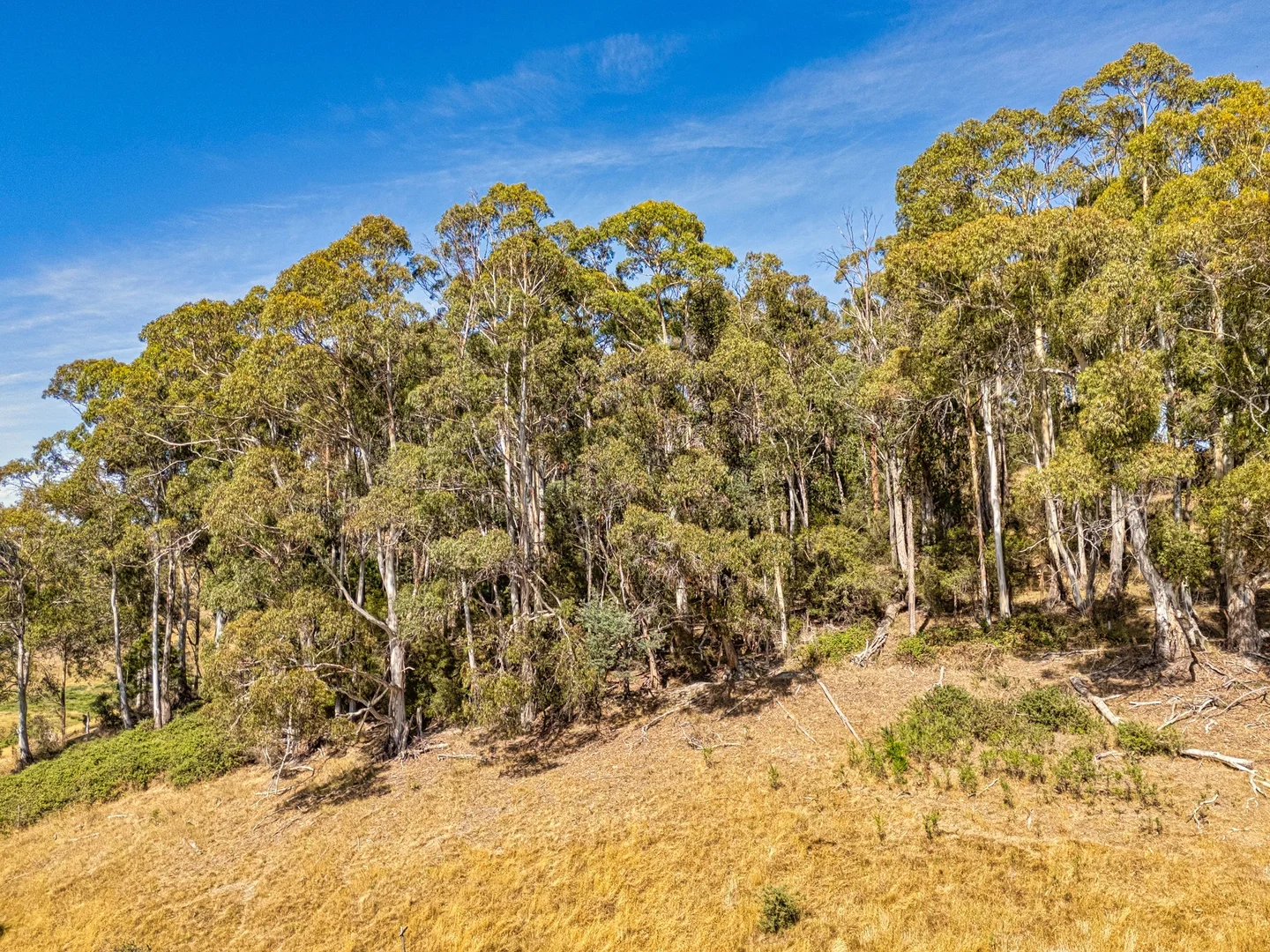 Additional image 6 of 177102/2, 34 George Street, Cygnet TAS 7112