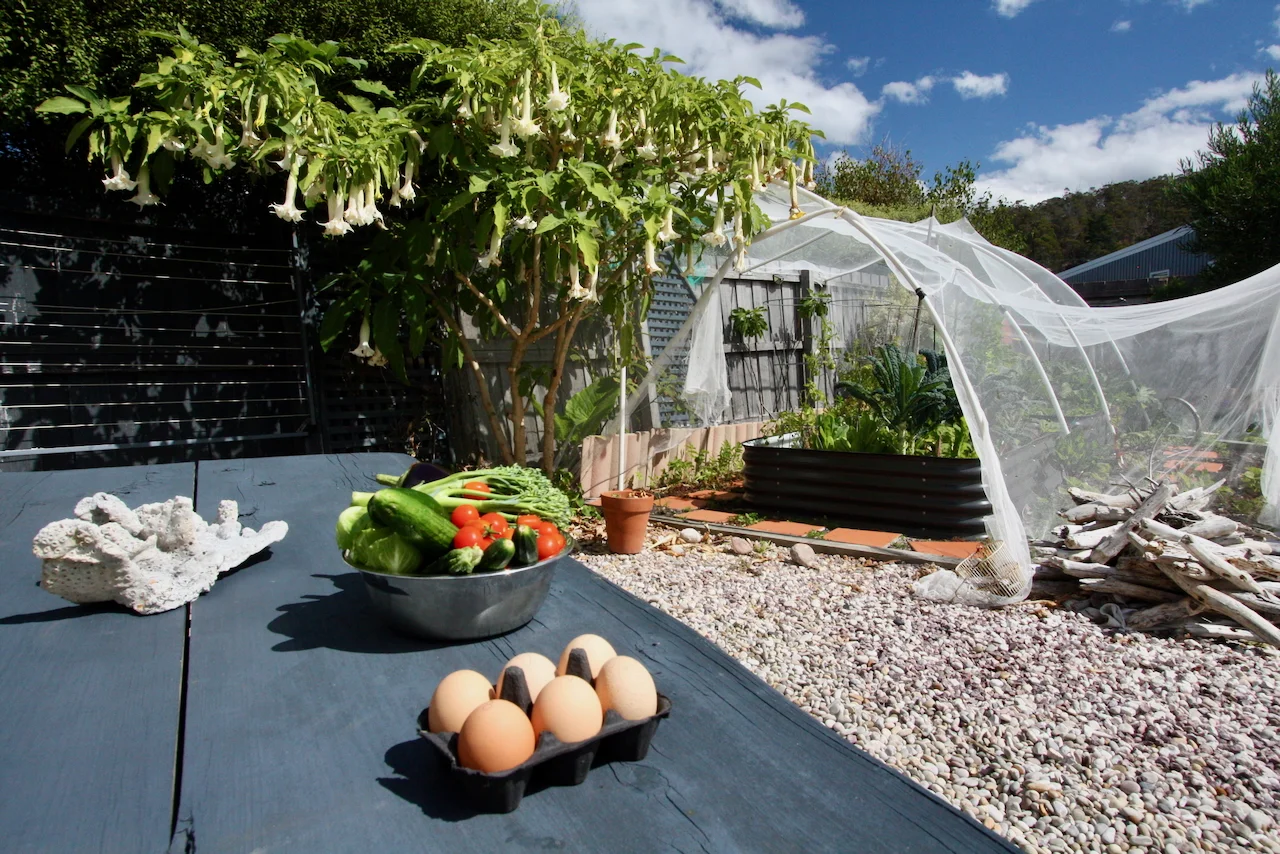 Additional image 23 of 2/2 Tasman Highway, Bicheno TAS 7215