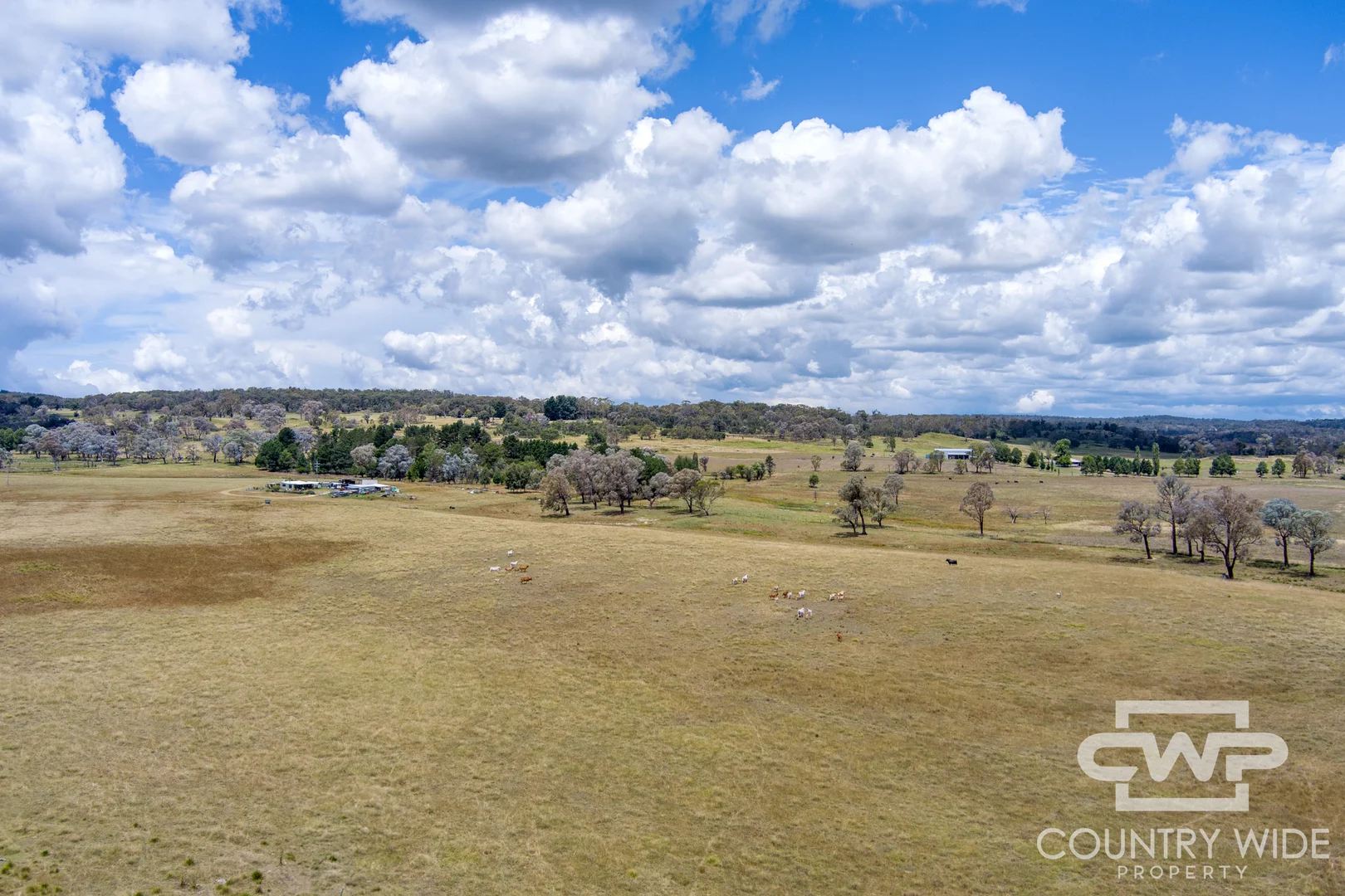 Additional image 32 of 1651 Shannon Vale Road, Shannon Vale NSW 2370