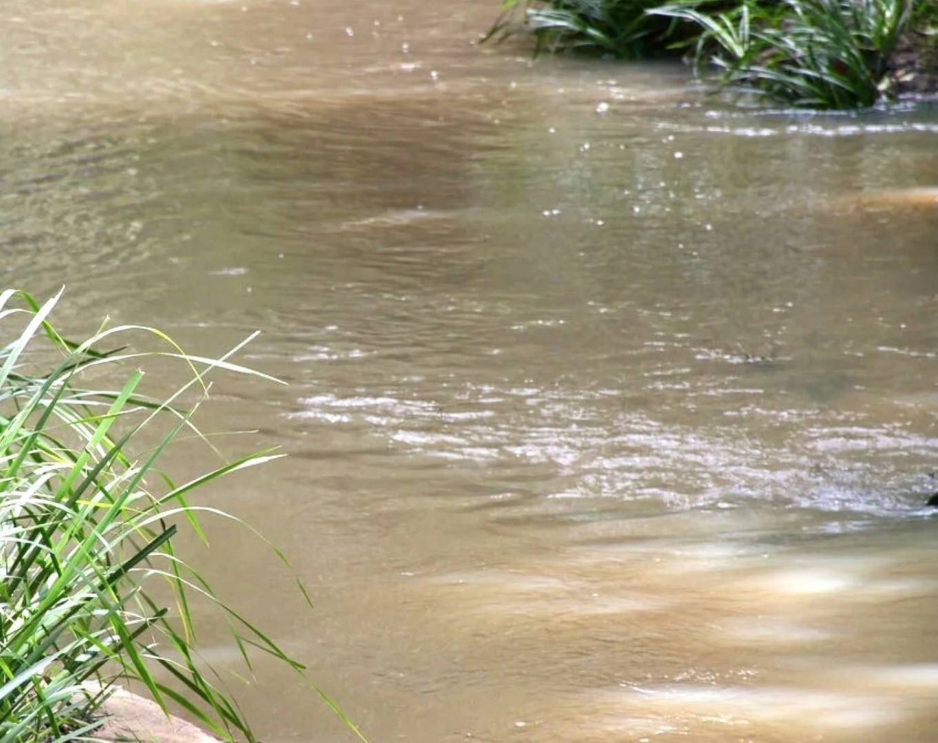 Additional image 5 of 15754 Clarence Way, Bonalbo NSW 2469