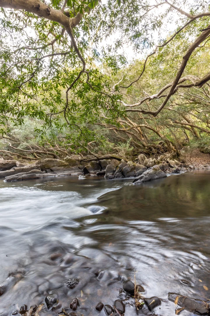 Additional image 12 of 56 Carisbrook Road, Morton NSW 2538