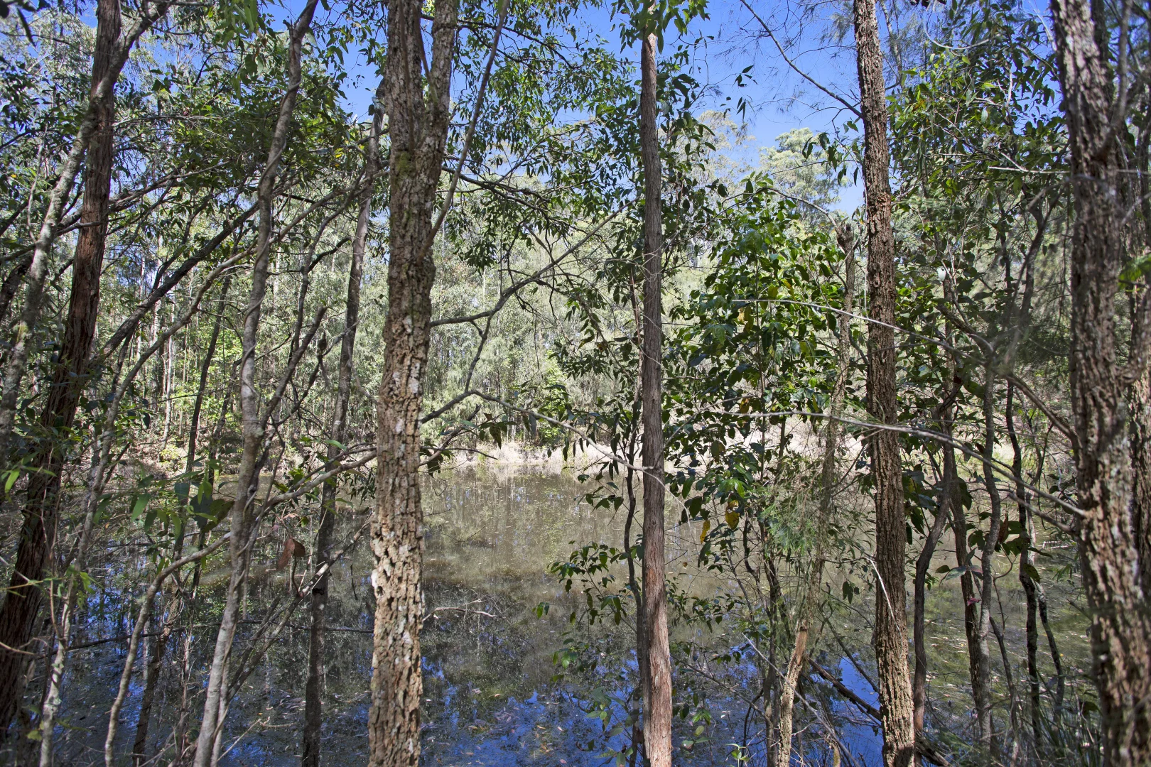 Additional image 17 of 115 Suncrest Close, Bulahdelah NSW 2423