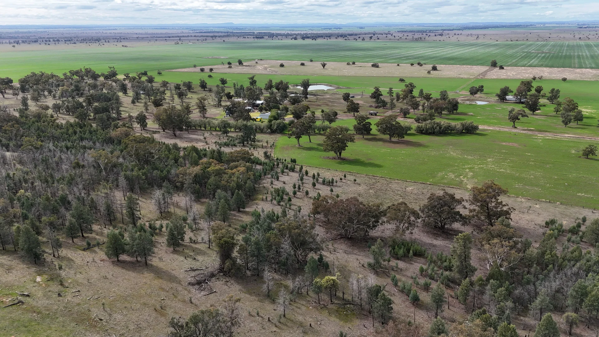 Additional image 13 of 877 Mount Tallabung Road, Forbes NSW 2871