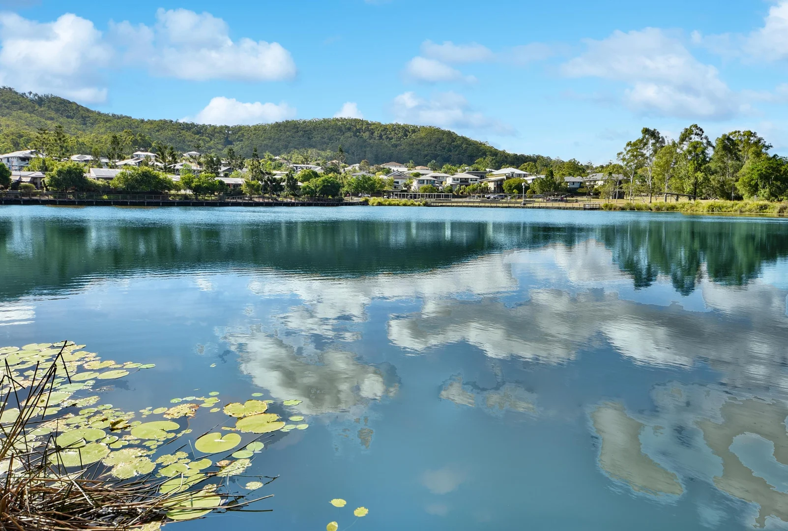 Additional image 27 of 61 Yarrambat Rise, Upper Coomera QLD 4209