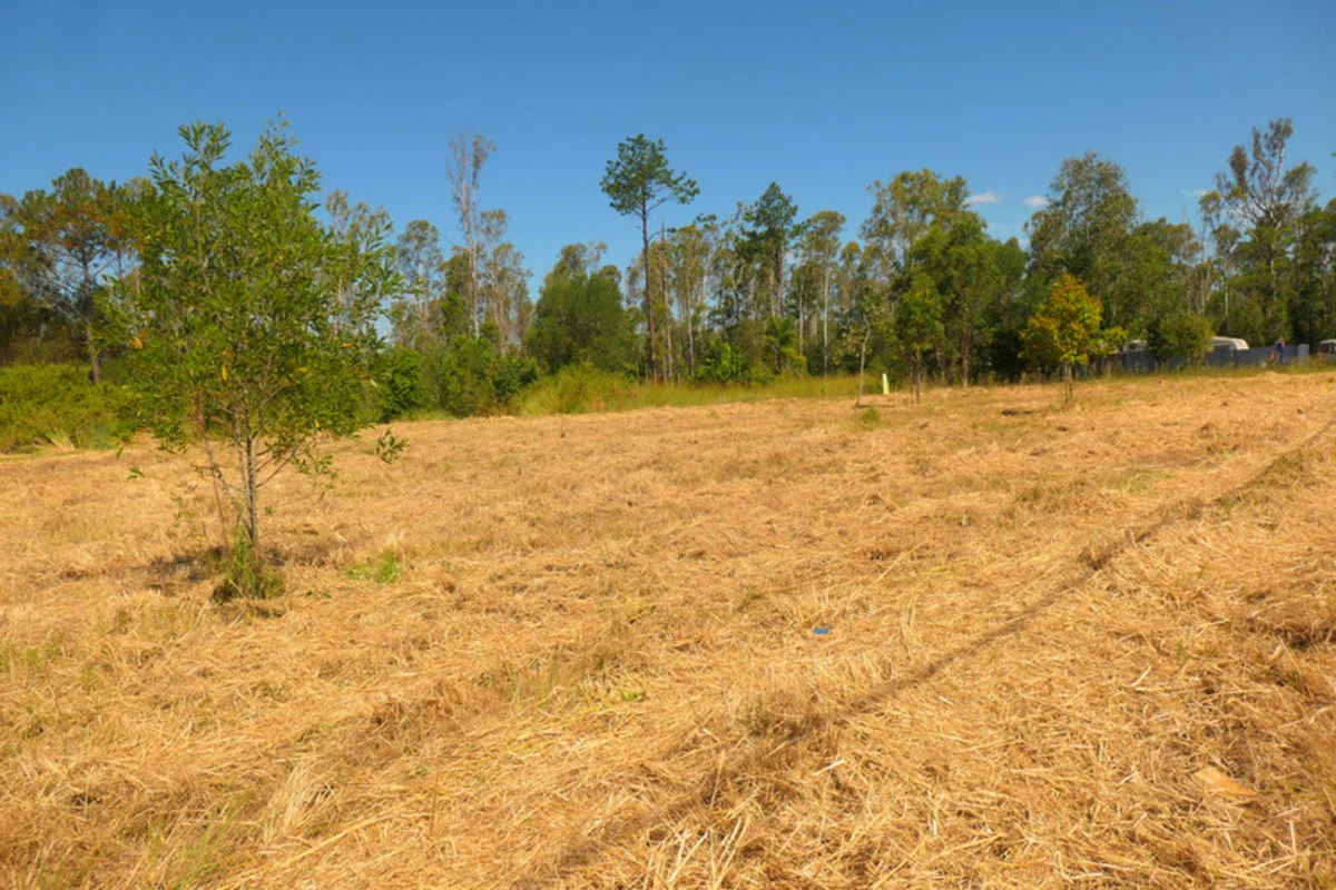 Additional image 13 of 1,2,3/12 Mclean Street, Rappville NSW 2469